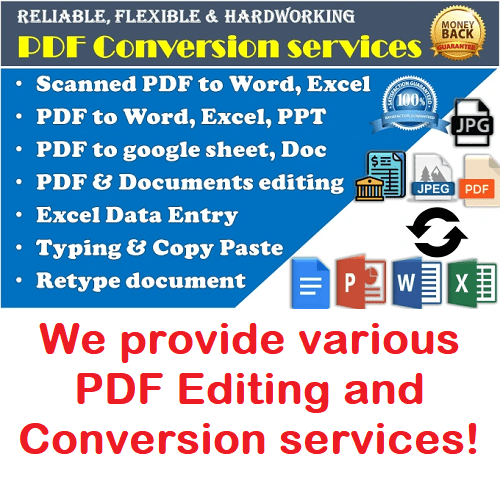 pdf to word / text conversion services